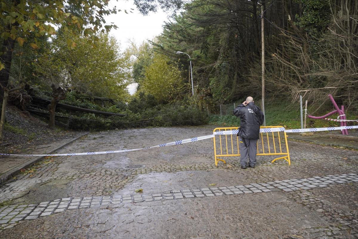 EuropaPress 5554572 varios arboles caidos cortan camino escola transmisions electronica da