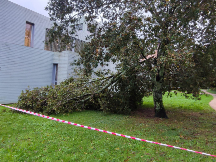 Galicia registra vientos de más de 170 kilómetros por hora y más de un centenar de incidencias