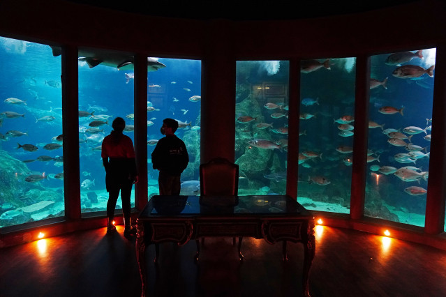 Archivo - Museo Científico Casa de los Peces, en A Coruña