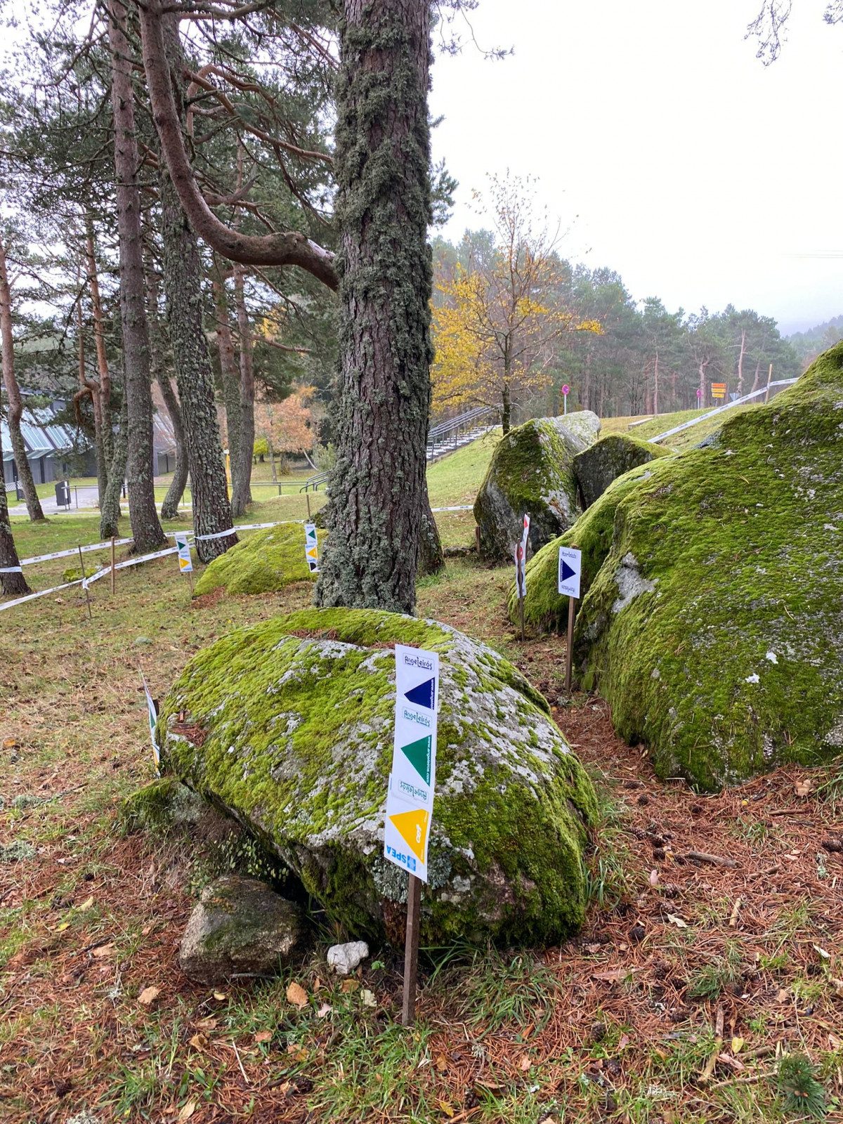 Zona de trial en Manzaneda