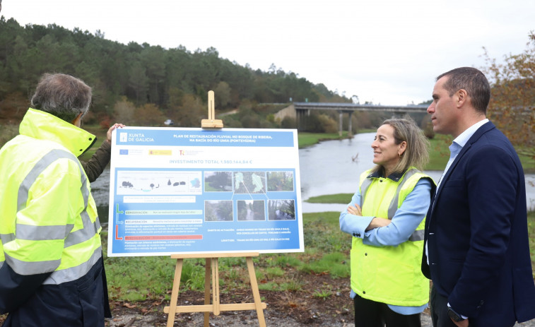 Los Next Generation transformarán la ribera del Umia con la reforestación de 7.000 árboles