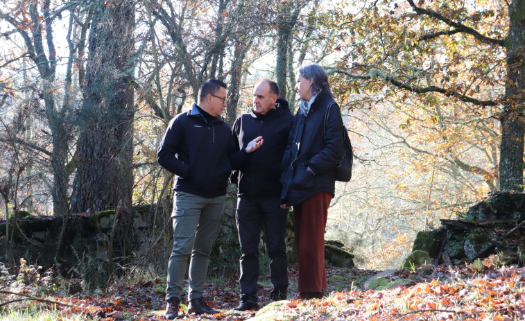 La Xunta impulsará la preservación y gestión de castañares en Galicia