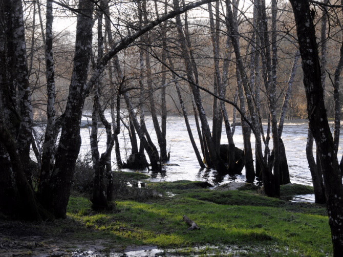 La gestión del ciclo urbano del agua y la conservación del medio ambiente