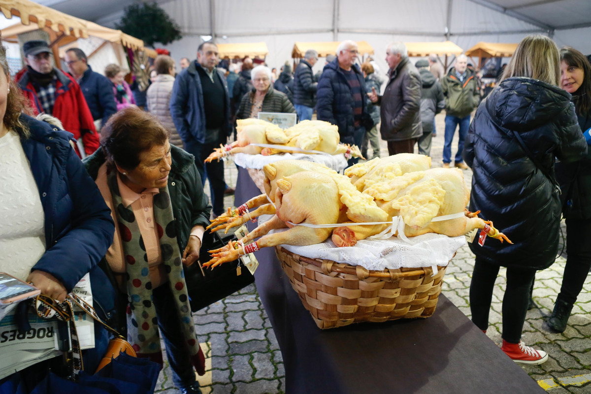 Varias personas observan los capones durante la celebración de la Feira do Capón, a 21 de diciembre de 2023, en Vilalba, Lugo, Galicia (España). Vilalba celebra hoy su tradicional Feira do Capón c
