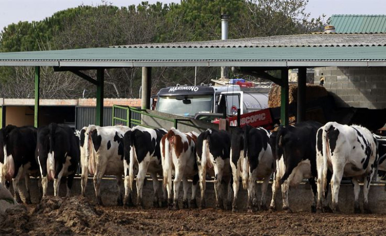 ​Unións Agrarias pide un plan financeiro 