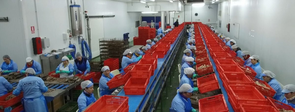 Atunlo OGrove 8d082f03