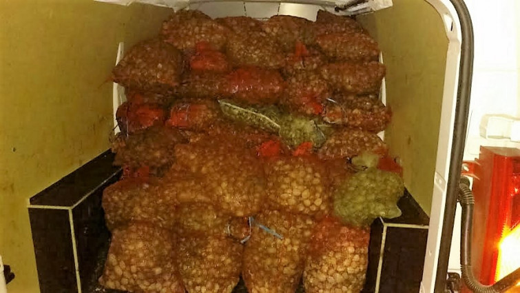 O Servizo de Gardacostas requisa unha tonelada de peixe e marisco