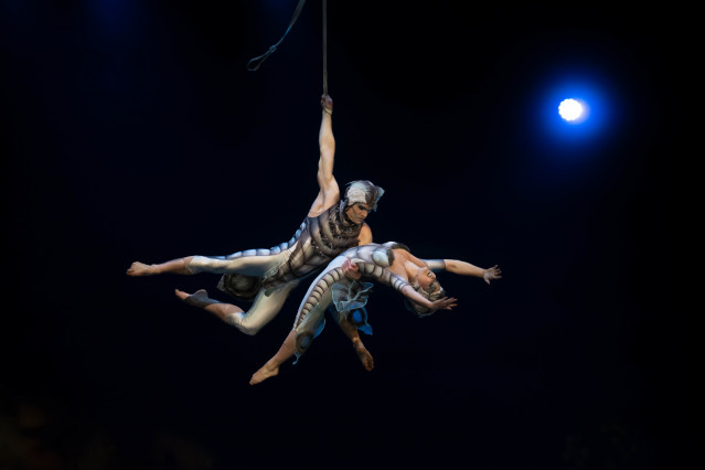 Acróbatas durante la premiere del espectáculo ‘OVO’, del Circo del Sol, en el Multiusos Fontes do Sar, a 3 de enero de 2024, en Santiago de Compostela, A Coruña, Galicia (España). Esta producción se estrenó por primera vez en Montreal en 2009 y ha viajado
