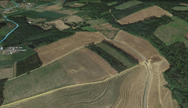 Zona proyectada para plantaciones de eucalipto