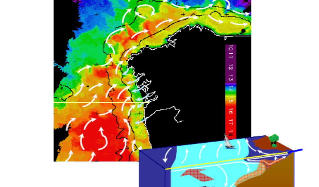 Mapa de la corriente de Navidad