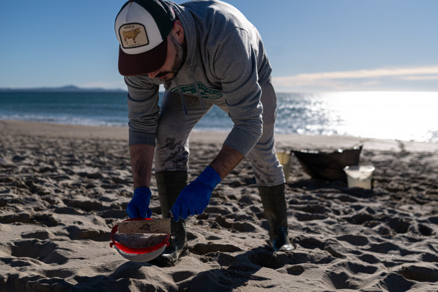 Voluntarios hacen una recogida de pellets de la arena, Galicia, a 7 de enero de 2024, en A Coruña, Galicia (España). Grandes cantidades de pellets de plásticos llevan apareciendo, desde el 13 de diciembre en las Rías Baixas y en la ría de Muros de Noia en
