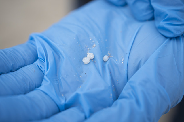 Un voluntario recoge pellets en la playa de Samil, a 10 de enero de 2024, en Vigo, Pontevedra, Galicia (España). Voluntarios se han organizado para limpiar algunas playas de las provincias de A Coruña y Pontevedra a las que ha llegado el vertido de los pe