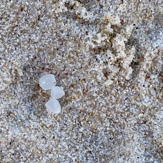 Pellets llegados a Louro en una foto de Eduardo Navarro