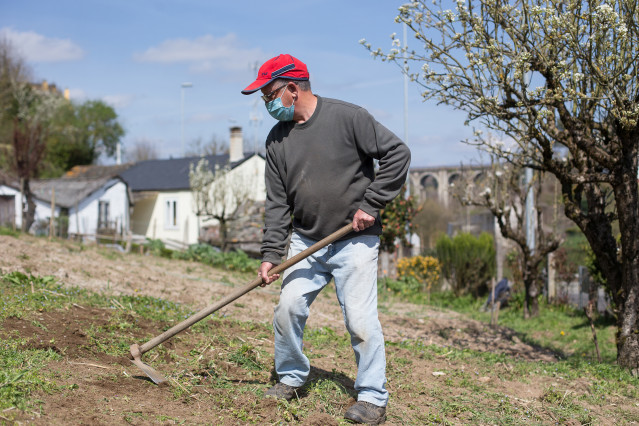 Archivo - Eugenio, procedente de Sevilla y con más de 40 años residiendo en Lugo, limpia su finca del Barrio de San Eufrasio antes de plantar lechugas y pimientos, en Lugo, Galicia (España), a 24 de marzo de 2021. El sector primario ha sido fundamental du