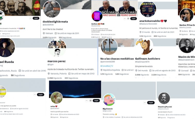 ¿Hay una red de perfiles de Twitter falsos “coordinada desde Madrid” contra el PP? Uno es de Ourense