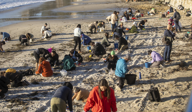 Archivo - Varios voluntarios recogen pélets en la playa de Panxón, a 11 de enero de 2024, en Pontevedra, Galicia (España).