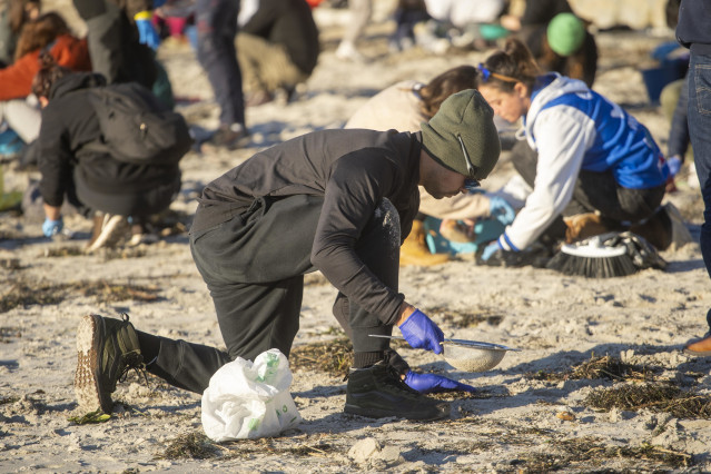 Archivo - Varios voluntarios recogen pellets en la playa de Panxón, a 11 de enero de 2024, en Pontevedra