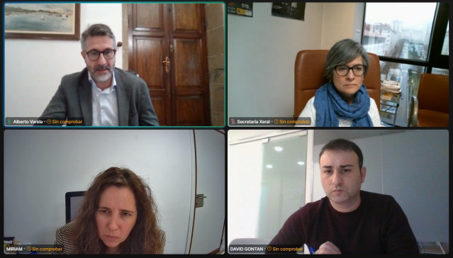 Reunión telemática del presidente de la FEGAMP, Alberto Varela, con responsables del Colegio Oficial de Trabajo Social de Galicia, para abordar los problemas con la tramitación del Bono Coidado, a 23 de enero de 2024.