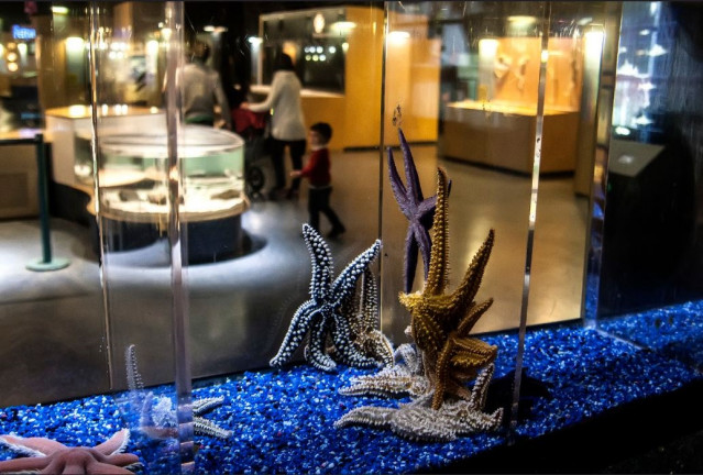 Archivo - Aquarium de A Coruña