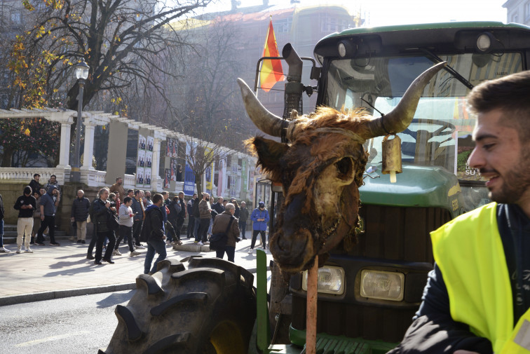Un agricultor gallego gana menos de un tercio que un trabajador de banca en Madrid