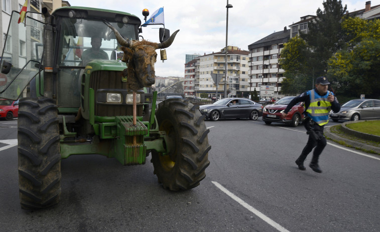 El Entroido provoca la marcha de la tractorada de ganaderos en Ourense