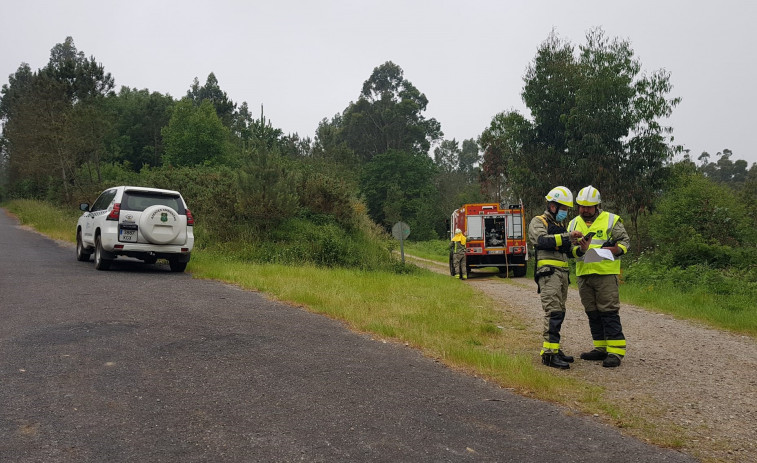 Ingenieros forestales, hartos de la Xunta: sin plaza dos años después de aprobar las oposiciones