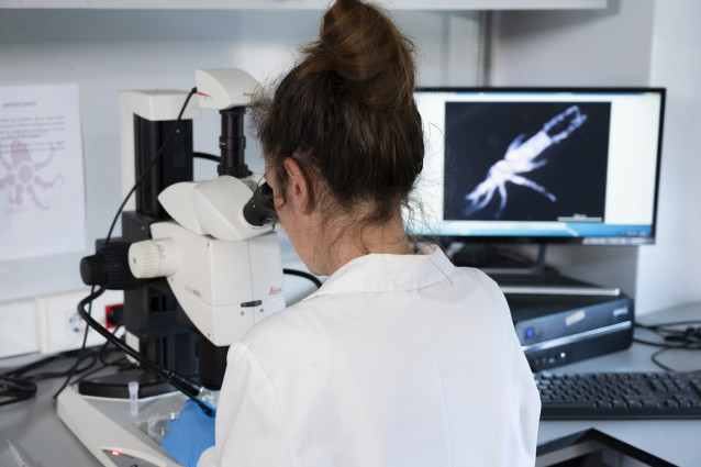 Archivo - Investigadora del CSIC en Galicia.