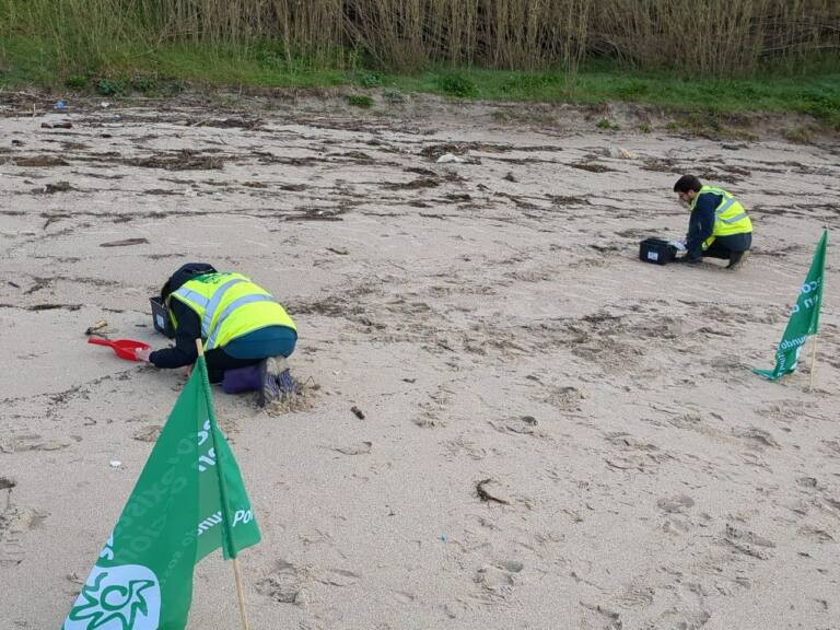 Ecolog en acciu00f3n EEAA