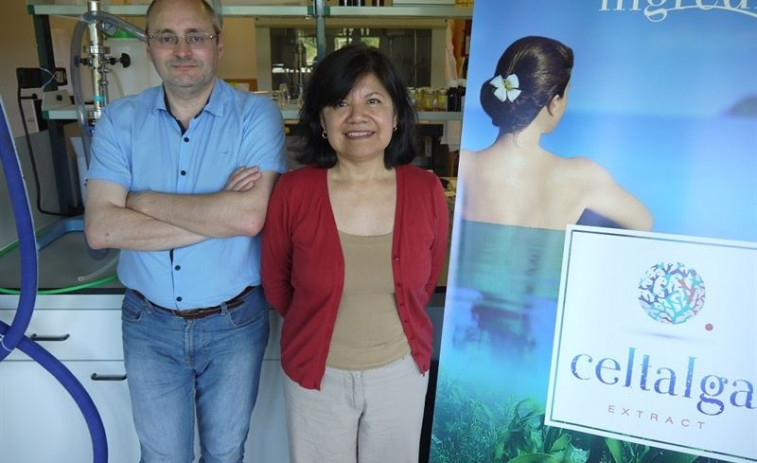​Buscan converter as algas galegas en cosméticos a través do crowfunding