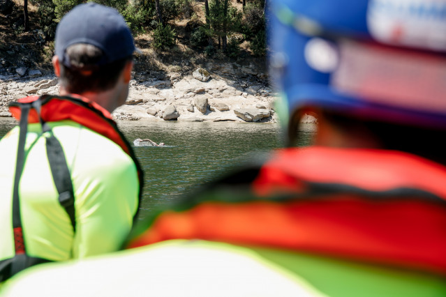 Archivo - Un socorristo técnico del SUMMA 112, durante un simulacro del SUMMA112 en la playa Virgen de la Nueva del Pantano de San Juan, a 10 de julio de 2022, en San Martín de Valdeiglesias, Madrid (España). La Real Federación Española de Salvamento y So