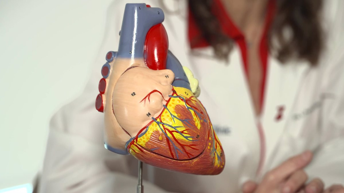 Fotonoticia 20240228134237 1200