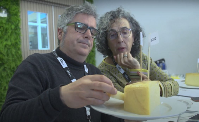 Estos son los 9 mejores quesos de Galicia, según el Salón de Gourmets