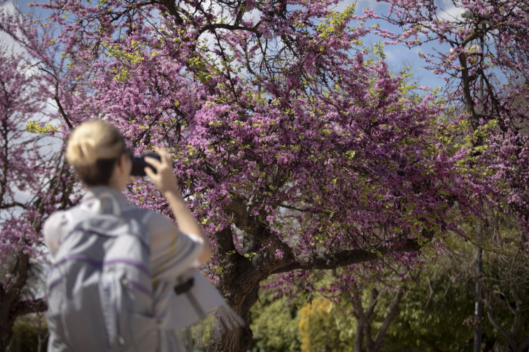 Buen tiempo en Galicia para dar la bienvenida a la primavera, que durará 92 días