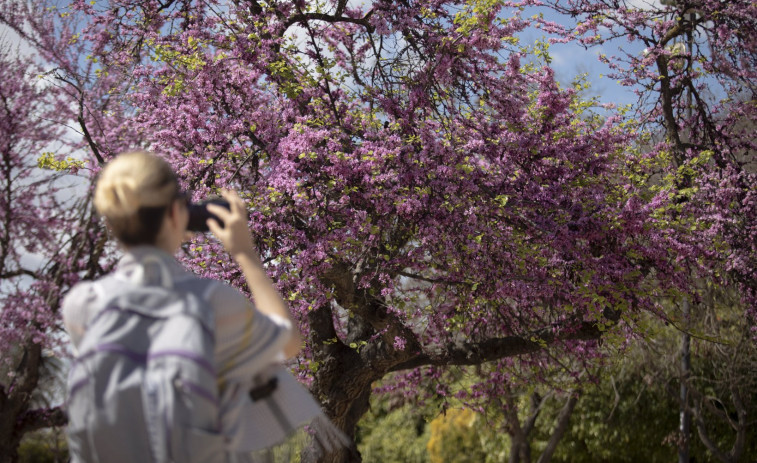 Buen tiempo en Galicia para dar la bienvenida a la primavera, que durará 92 días