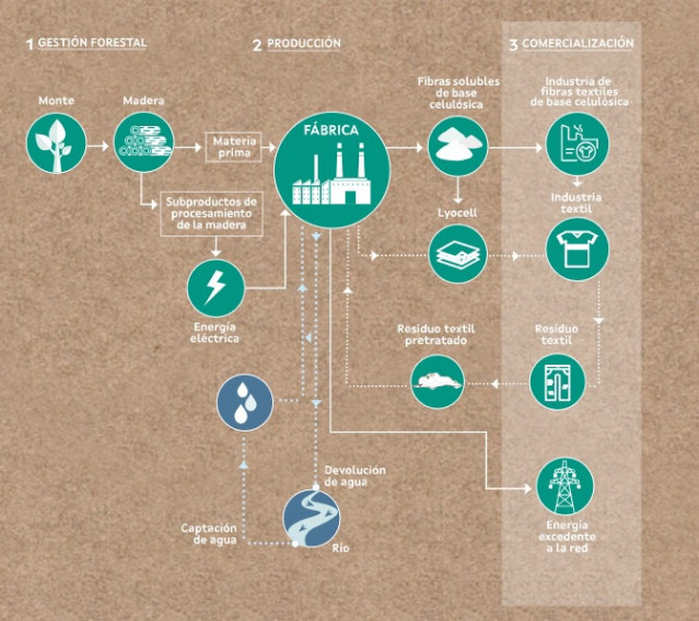 Web de Greenfiber sobre la fábrica de Altri