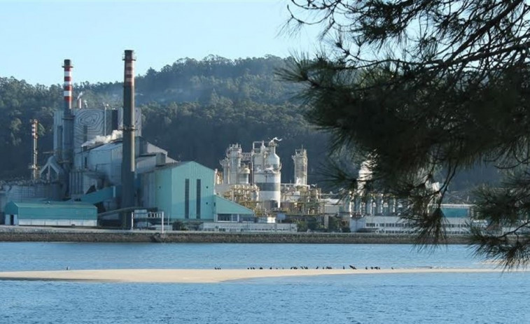 ​Ence da marcha atrás en su promesa de construir una planta de biomasa de Pontevedra