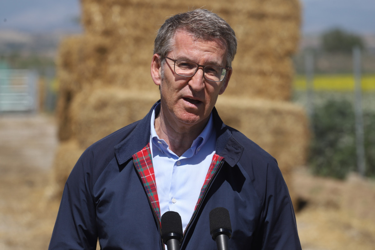 El líder del PP, Alberto Núñez Feijóo, atiende a los medios durante una visita a la granja de la  cooperativa Ivars d’Urgell, a 11 de abril de 2024, en La Fuliola, Lleida, Catalunya.