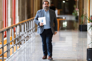 El portavoz parlamentario del PP de Galicia, Alberto Pazos Couñago