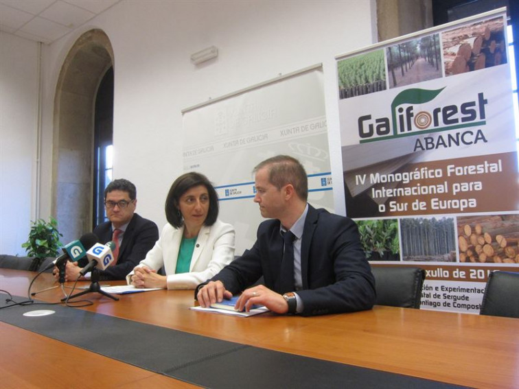 ​Medio Rural contratará cuatros helicópteros contra incendios para suplir a cinco aviones