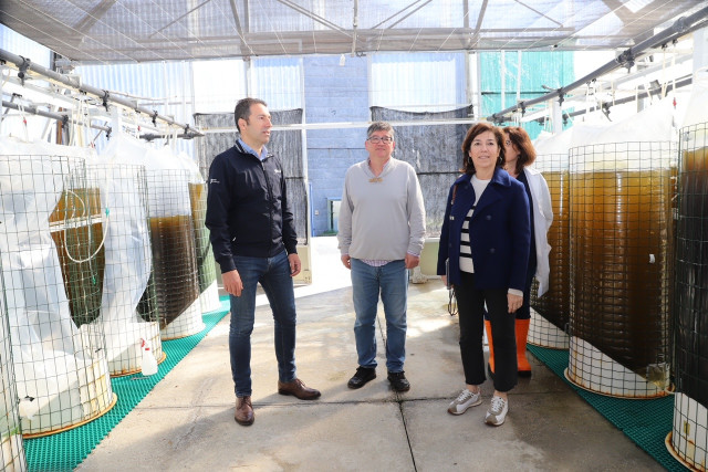 El conselleiro do Mar, Alfonso Villares, visita el Instituto Galego de Formación en Acuicultura (Ifaga) en A Illa de Arousa (Pontevedra), a 18 de abril de 2024.