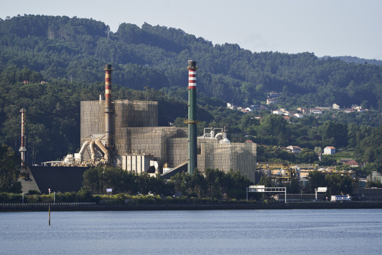 Ence pretende reforzar su presencia en Lourizán duplicando el terreno ocupado y con torres de 70 metros