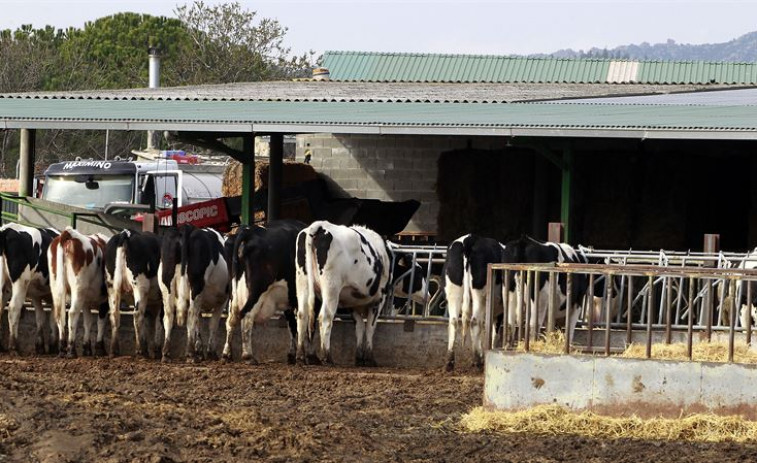 ​El sector lácteo puede perder 2,5 millones si Andalucía saca adelante su propuesta