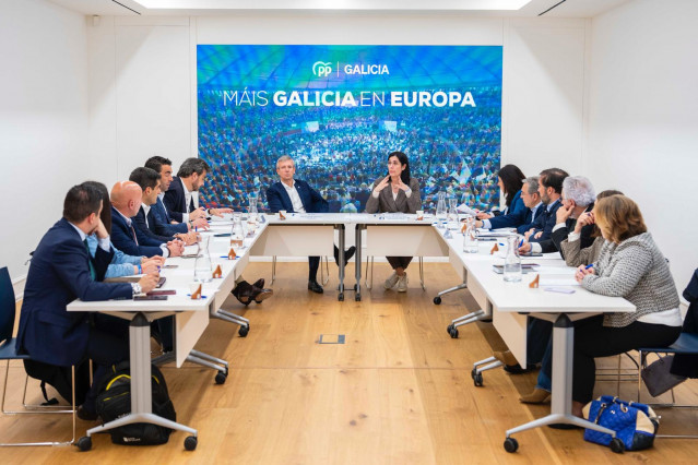 Reunión del comité de dirección del PPdeG.