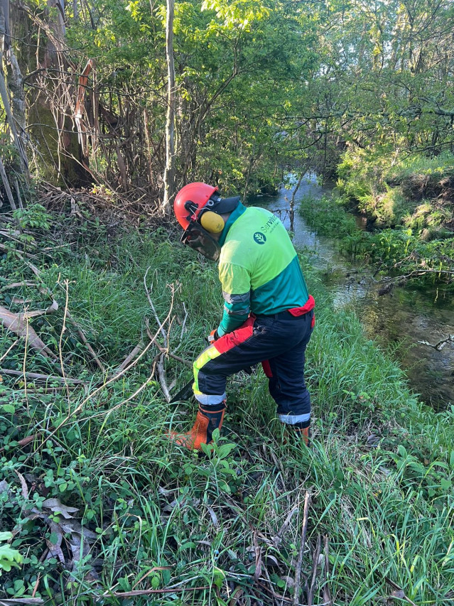 Medio Ambiente realiza labores de conservación en el río Corzán a su paso por Negreira (A Coruña).