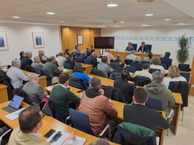 Reunión de la FEGAMP sobre el funcionamiento de los Grupos de Emergencias Supramunicipales, en Santiago, a 30 de abril de 2024.