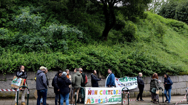 Una concentración de vecinos impide la tala de árboles en la calle Falperra de Vigo, a 2 de mayo de 2024.