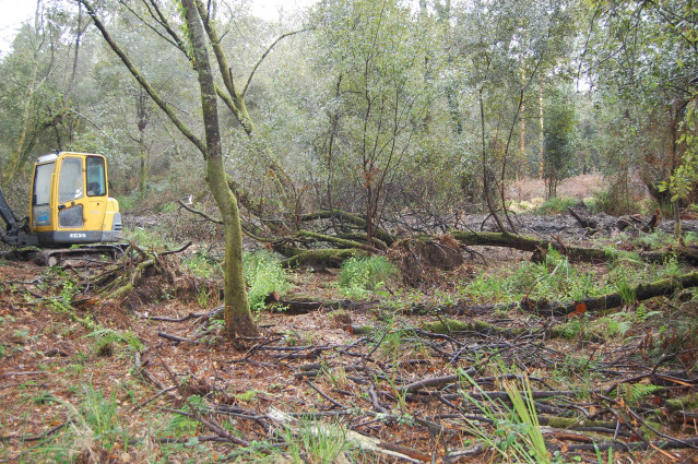 Archivo - Obras en el nacimiento del río Lagares, por las que la Xunta ha sancionado con 98.500 euros a la Comunidad de Montes de Cabral, en Vigo.