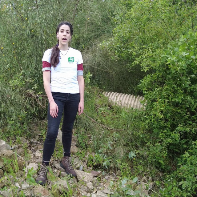 Elena Álvarez, de Ecoloxistas en Acción, ante el emisario que sale de la Ciudad deportiva del Celta y que, según han denunciado, vierte aguas fecales cerca de las traídas de aguas vecinales de Mos.