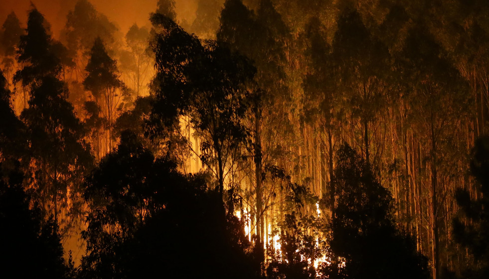 Archivo - Árboles de eucalipto arden durante el incendio, a 12 de octubre de 2023, en Vidal, Trabada, Lugo, Galicia (España). La proximidad del incendio a núcleos de población ha obligado a declar