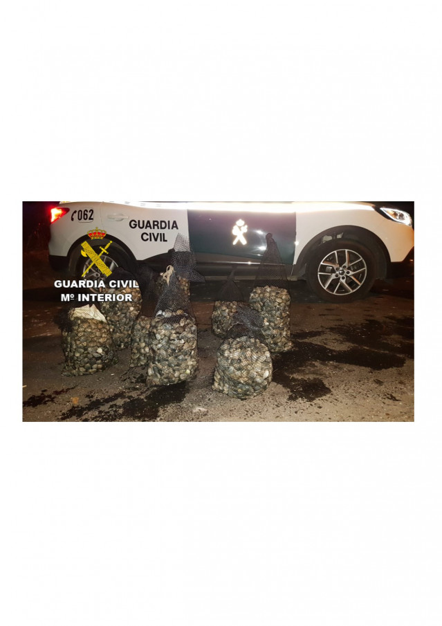 Almejas intervenidas por la Guardia Civil en el marco de una investigación contra el furtivismo, que acabó con la detención de tres vecinos de Poio (Pontevedra).